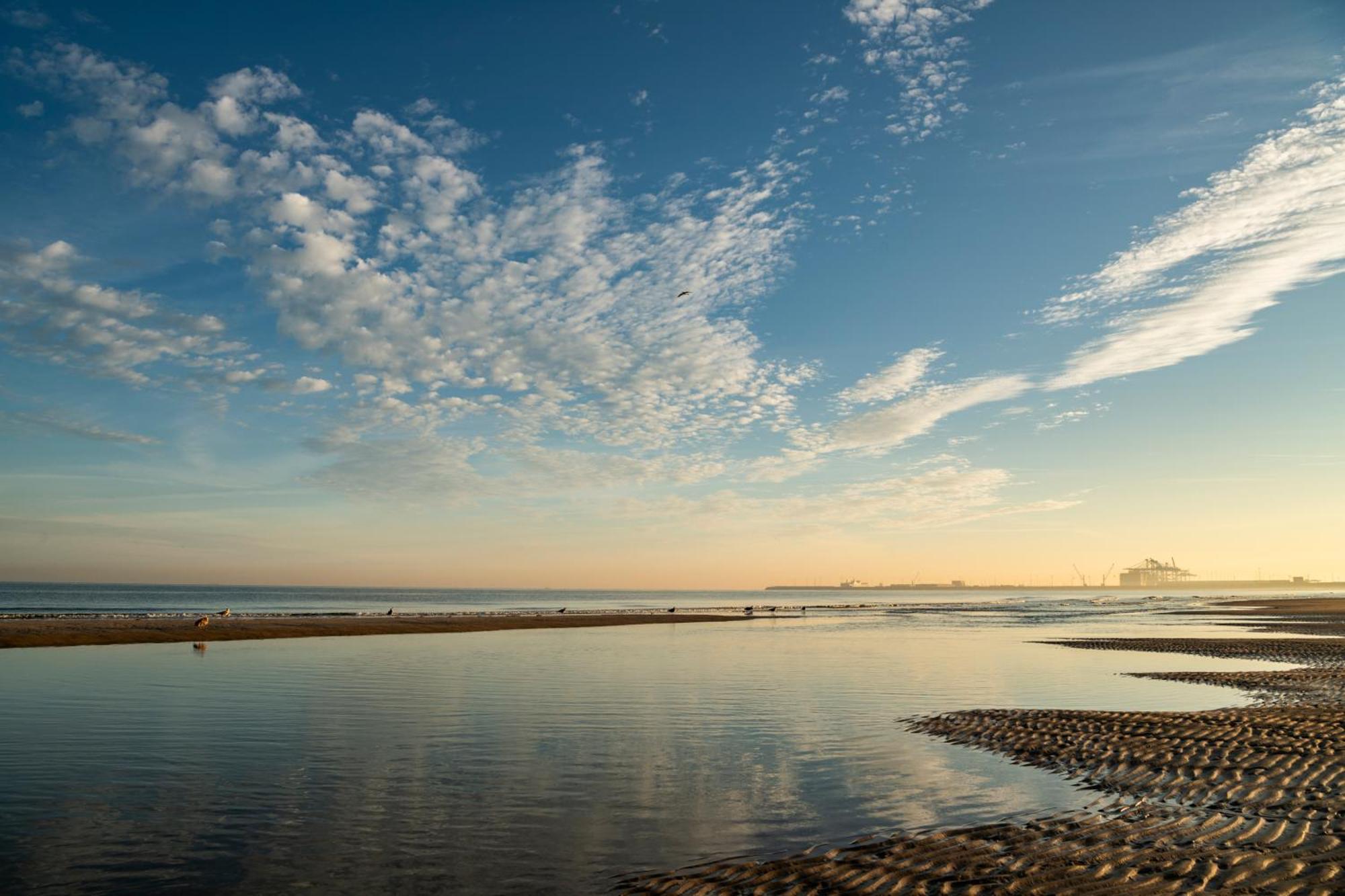 Beachside Vakantiepark Бланкенберге Экстерьер фото